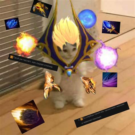 Кот инвокер nel 2024