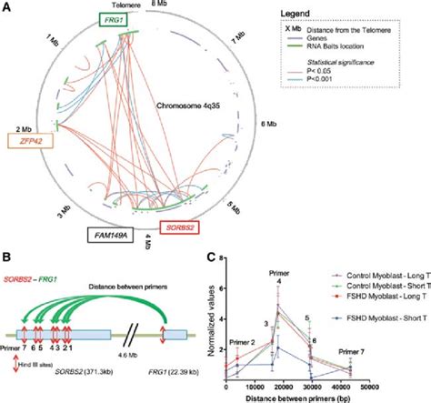 Long Range Interactions Revealed By Locus Specific Hi C At The Q