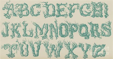 Vine Font Clipart