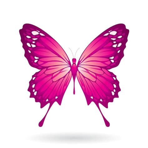 Premium Vector Magenta Butterfly Illustration