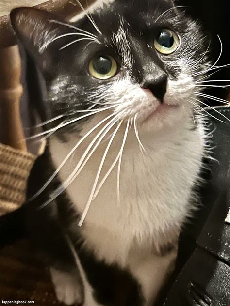 Aubree Thebustyhoney Nude Onlyfans Leaks Fappening Fappeningbook