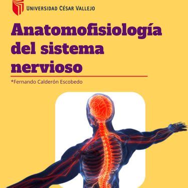 Book Creator Anatomofisiolog A