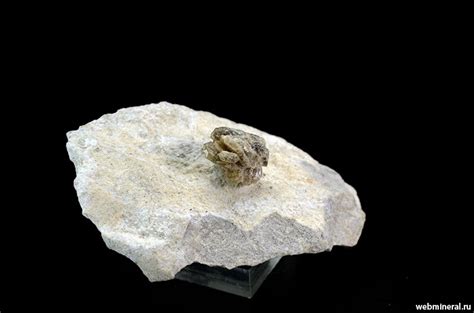 Говлит. Минерал Говлит. Описание, свойства, месторождения, фотографии ...