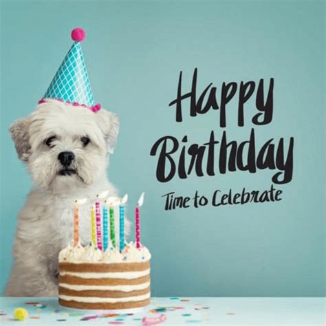 90 Happy Birthday Wishes For Dog Pet Doggy Messages Quotes Cards