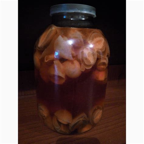 Фото к объявлению: продам настойку гриба веселка — Agro-Ukraine