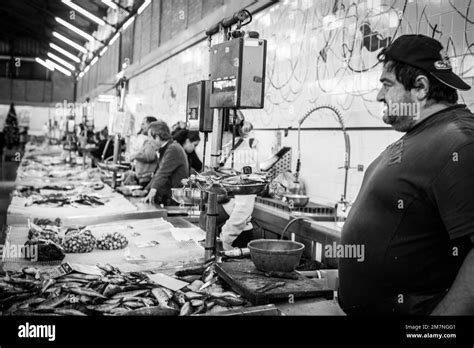 Algarve Fish Market Tavira Portugal Stock Photo Alamy