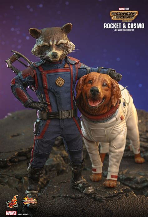 Nouvelle Guardians Of The Galaxy Vol Focus On The Hot Toys Rocket And Cosmo Collectible