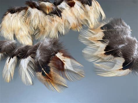 60 Pcs Rooster Feathers Losoe Feathers Feathers for Crafts Amaizing ...