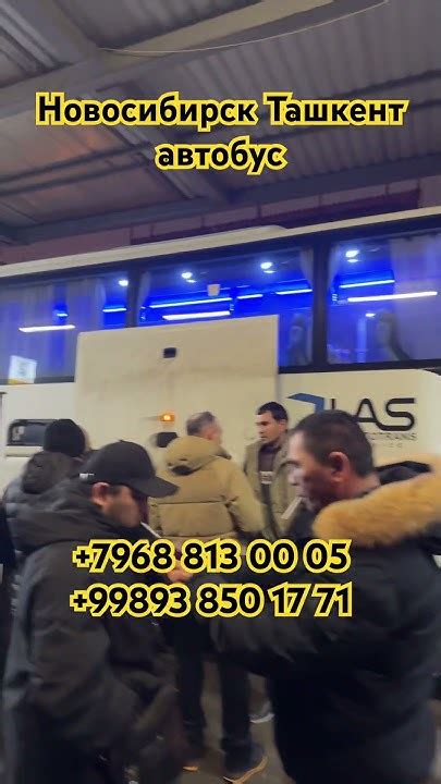 автобус новосибирск узбекистан - YouTube
