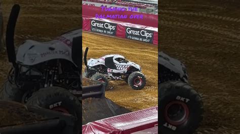 Flipping Dalmatian Monster Mutt Back Over 10 15 2022 Monster Jam