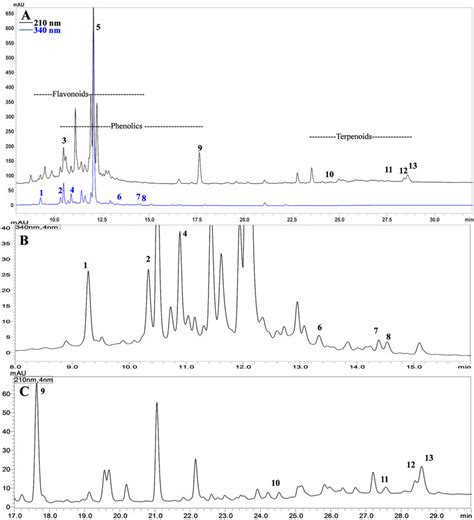 Sample Chromatograms In Rp Hplc Method A Overlay At 340 And 210 Nm