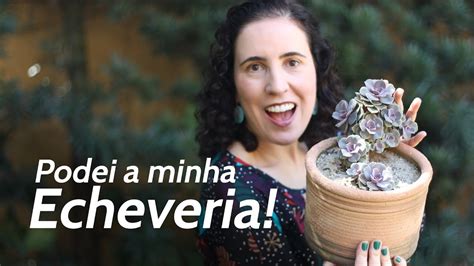 PODEI MINHA ECHEVERIA VEJA O QUE ACONTECEU Nô Figueiredo YouTube