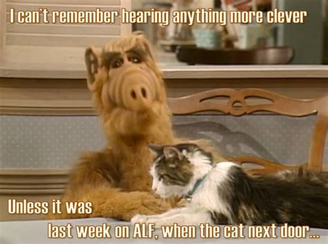 Golden Girls Meme Clever Alf Cat Golden Girls Meme Girl Memes