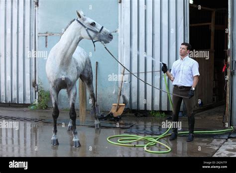 Jockey Wash Horse From Hose Near Stable Stock Photo Alamy