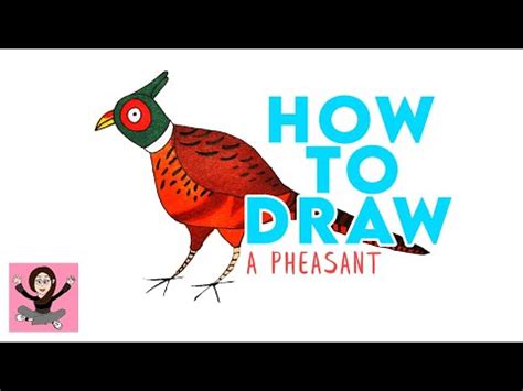 How To Draw A PHEASANT Easy Step By Step YouTube