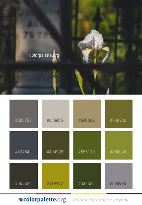 Dove Grey Color Chart