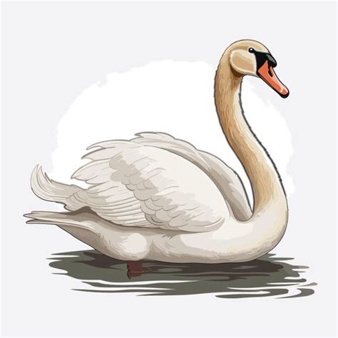 Vector Cisne Sobre Fondo Blanco Vector Premium