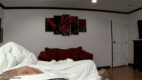 Lenporn Porn Videos Clips Sale