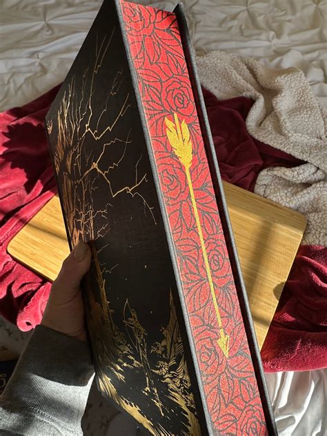 Acotar Collectors Edition By Sarah J Maas Custom Stenciled Etsy