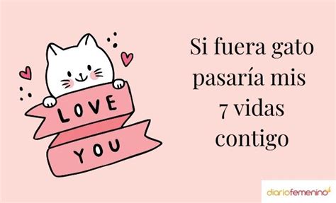 Frases De San Valent N Graciosas Con Im Genes Geniales Para Compartir