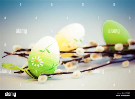 Pussy Willow And Easter Eggs Stock Photo Alamy