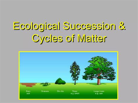 Ecological Succession And Cycles Of Matter Ppt