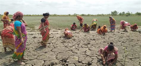 Mukti Completed The Second Phase Of Mangrove Plantation Program Behind