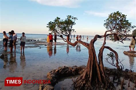 Libur Lebaran Di Sumba Timur Warga Ramaikan Sejumlah Obyek Wisata