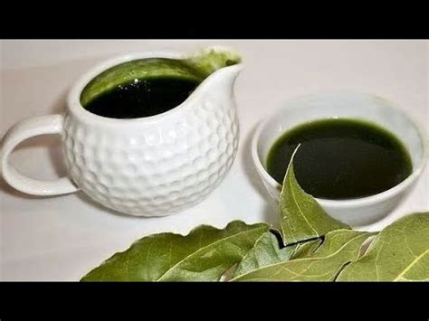 СУПЕР!!! ЛАВРОВОЕ МАСЛО - невероятные, чудодейственные свойства! - YouTube