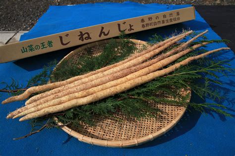 自然薯（じねんじょ） 農産物百科 食と農 Ja遠州中央