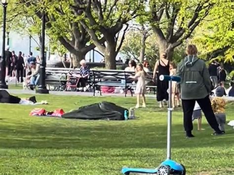 Couple Filmed Having Sex Under Blanket In Crowded NYC Park Toronto Sun
