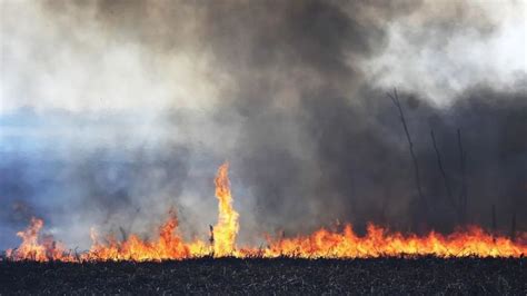 Incendios forestales en los últimos tres meses el fuego ya arrasó con