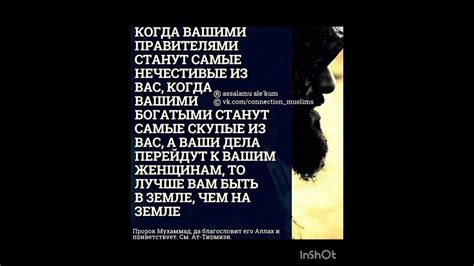 Золотые слова нашего пророка Мухаммада (С.А.В.) - YouTube
