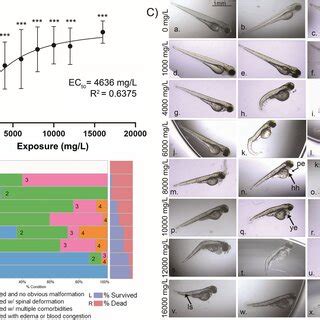 Morphological assessment of zebrafish embryos exposed to high levels of ... 