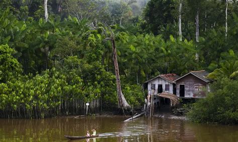 Caso Ilha De Marajo - Denúncias de exploração infantil na ilha de Marajó repercutem nas redes ...