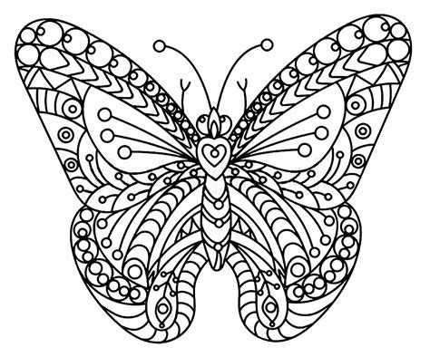 Borboletas para colorir: 30 desenhos lindos - Dicas Práticas