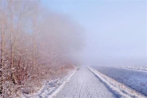 Early Fog Winter Impressions Free Photo On Pixabay Pixabay