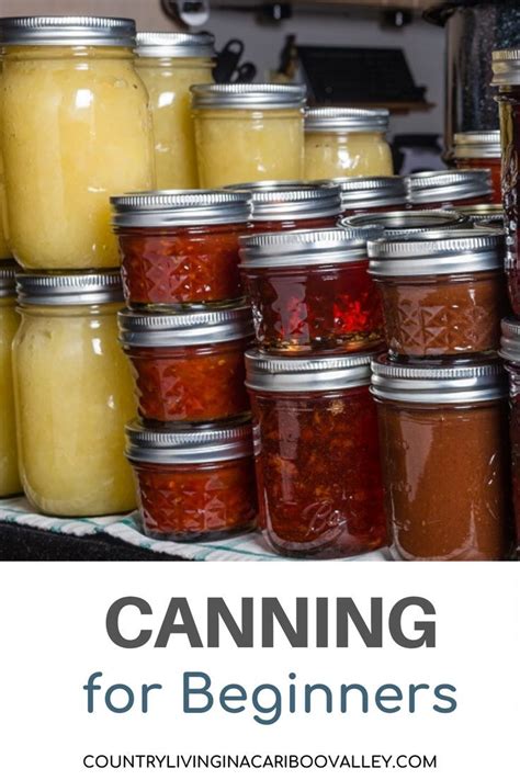 Preserving Food Freezing Canning And Pickling Food Artofit