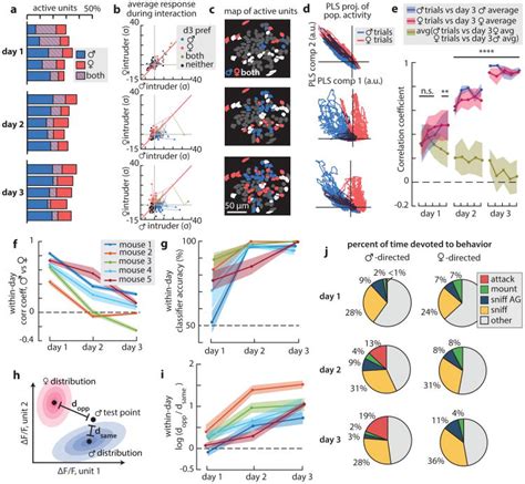 Social Behaviour Shapes Hypothalamic Neural Ensemble Representations Of Conspecific Sex Pmc