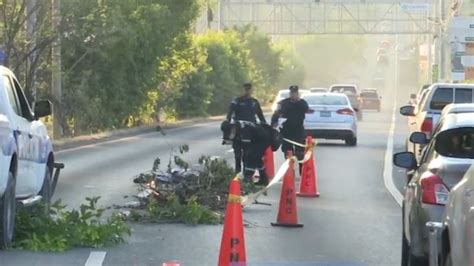 Peatón Muere Atropellado En La Carretera Hacia El Aeropuerto Noticias