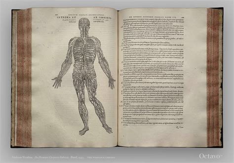 De Humani Corporis Fabrica On The Fabric Of The Human Body Facsimile