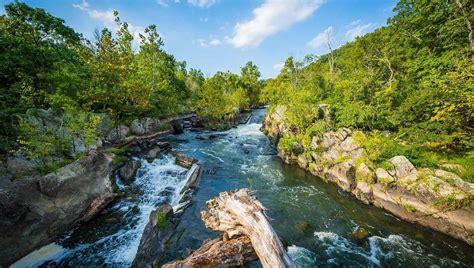 Mengenal Ekosistem Sungai Beserta Contoh dan Gambarnya Lengkap