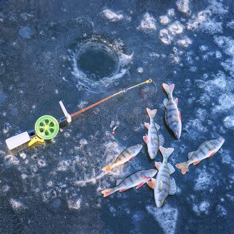 Pesca De Inverno Vara De Pesca Para A Pesca De Inverno E Buraco No