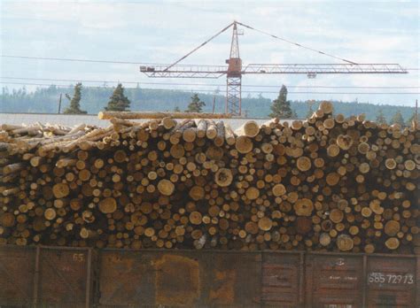 Вихоревка: Экономика