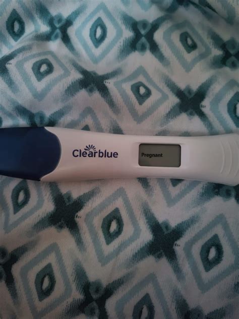 My FWB has been begging me to breed her.. Well she got what she wanted