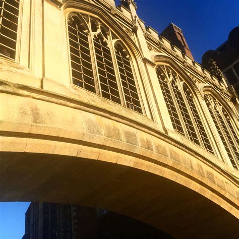 Punting In Cambridge 92 - Scholars Punting Cambridge