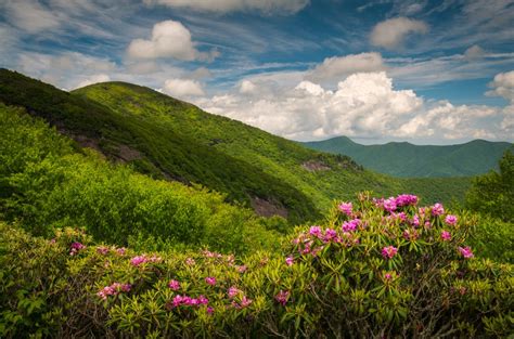 Great Craggy Mountains