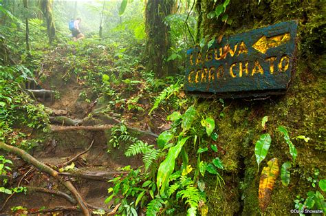 Chato Volcano (Cerro Chato) | Costa Rica Guides