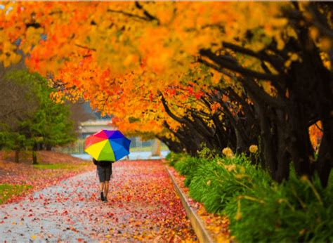 Weather & Climate | Canberra