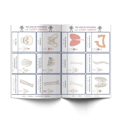 Les P Tits Ouistitis Et Le Corps Humain Un Jour Un Jeu